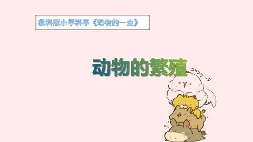 小学教科版三年级下册科学(动物的繁殖课件)