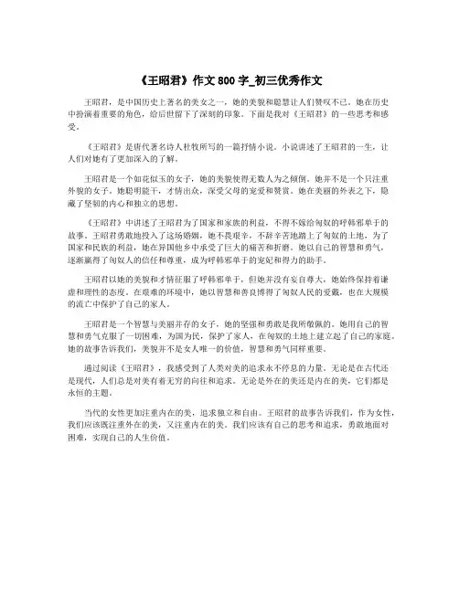 《王昭君》作文800字_初三优秀作文