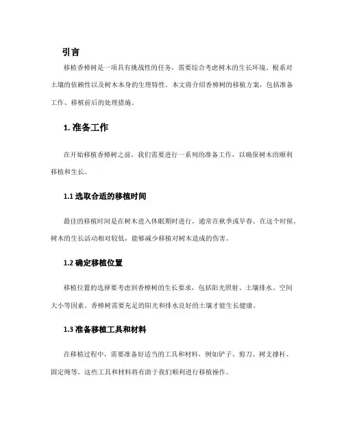 香樟树移植方案