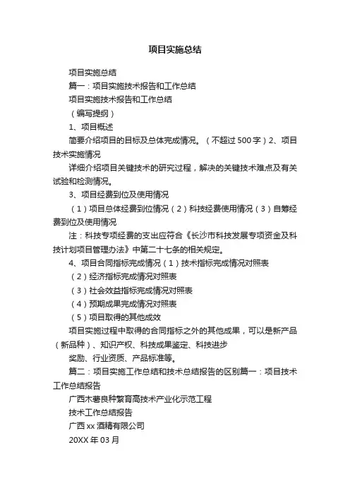项目实施总结
