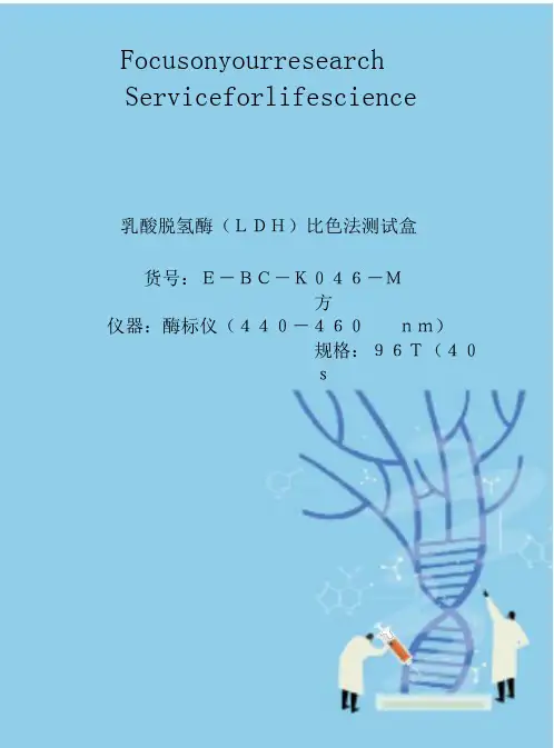 乳酸脱氢酶(LDH)比色法测试盒