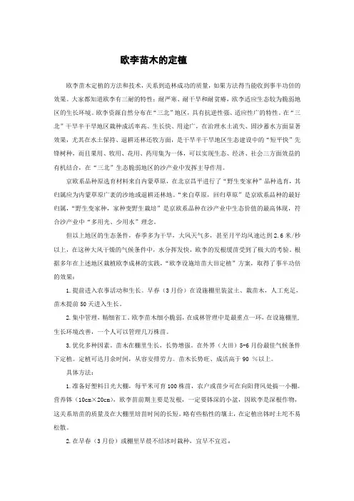 欧李苗木的定植