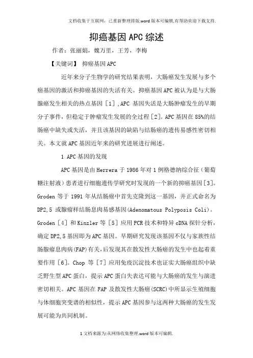 抑癌基因APC综述