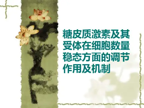 糖皮质激素及其受体在细胞数量稳态调节方面的作用及机制