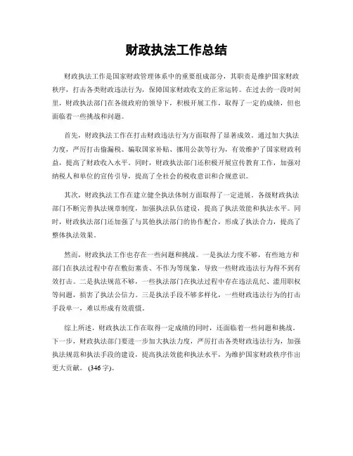 财政执法工作总结