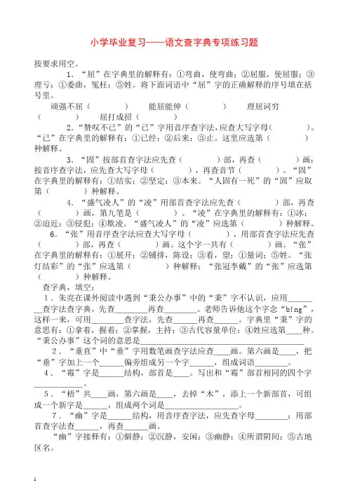 新人教版小学毕业复习——语文查字典专项练习题.doc