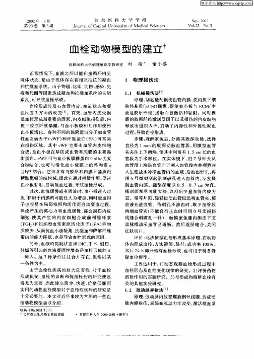 血栓动物模型的建立
