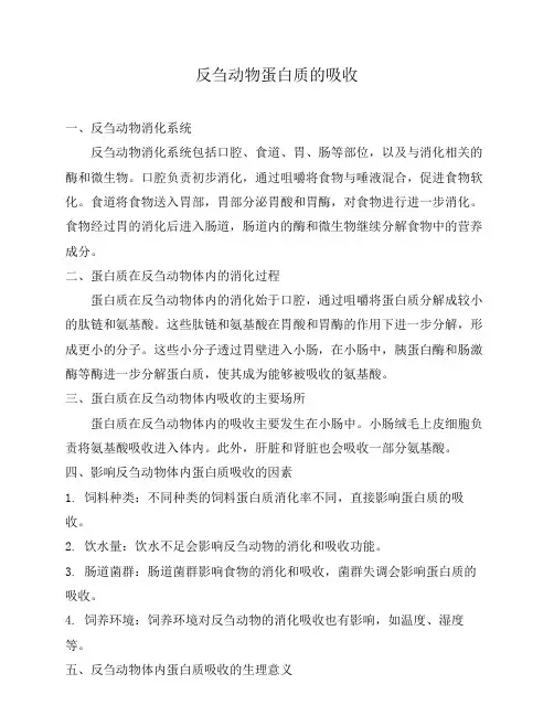 反刍动物蛋白质的吸收
