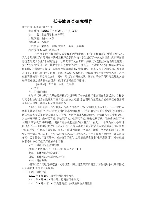 低头族调查研究报告