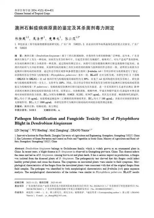 澳洲石斛疫病病原菌的鉴定及其杀菌剂毒力测定