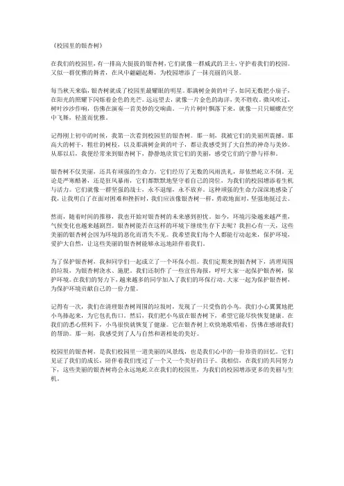 校园里的银杏树