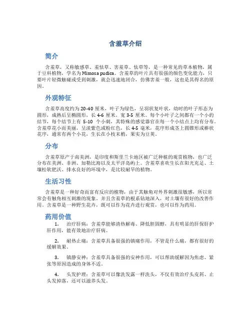 含羞草介绍字作文通用