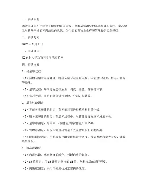 猪的屠宰测定实训报告