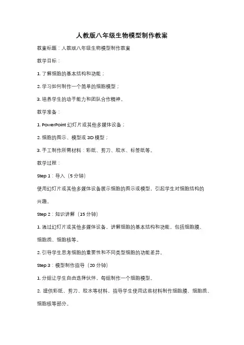 人教版八年级生物模型制作教案