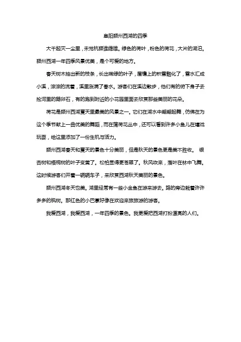 阜阳颍州西湖的四季
