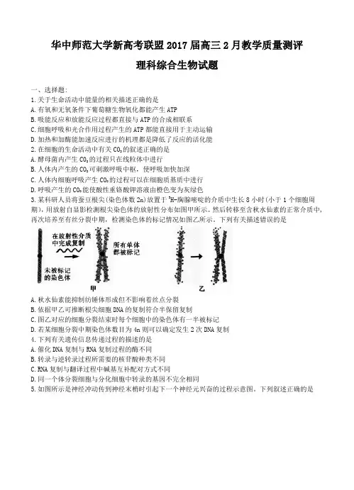 湖北省华中师范大学新高考联盟2017届高三2月教学质量测评理综生物试题及答案