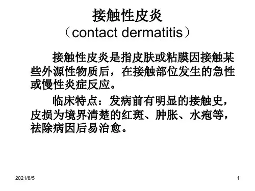 皮炎湿疹_Microsoft_PowerPoint_演示文稿_(2)