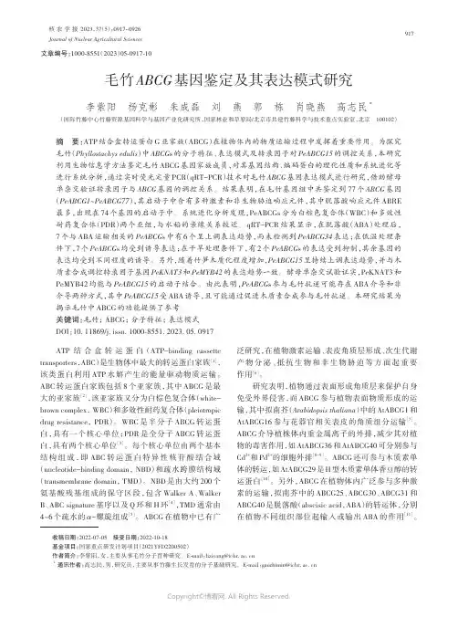 毛竹ABCG基因鉴定及其表达模式研究