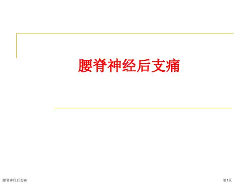 腰脊神经后支痛