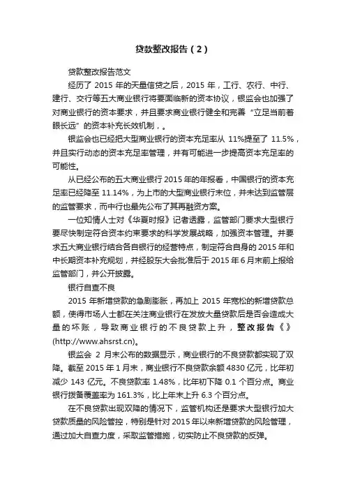贷款整改报告（2）
