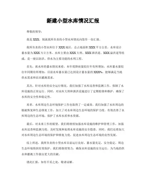 新建小型水库情况汇报