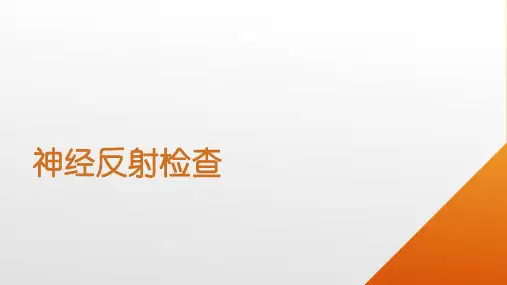 神经反射检查