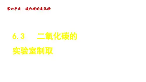 人教版九年级化学上册第6单元3 二氧化碳的实验室制取
