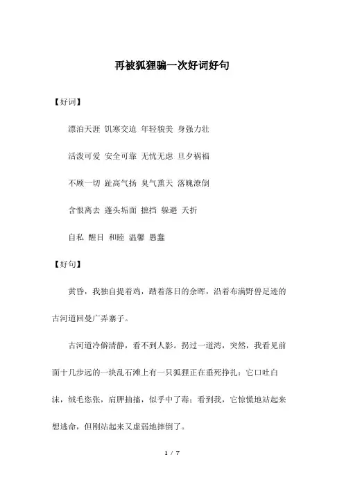 再被狐狸骗一次好词好句