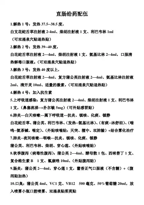 直肠雾化配方 (1)
