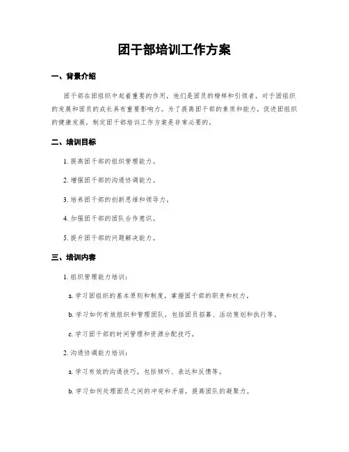 团干部培训工作方案