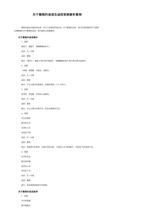 关于葡萄的谜语及谜底答案解析集锦