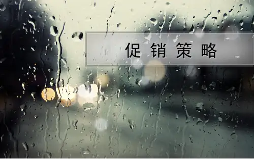 市场营销第五章