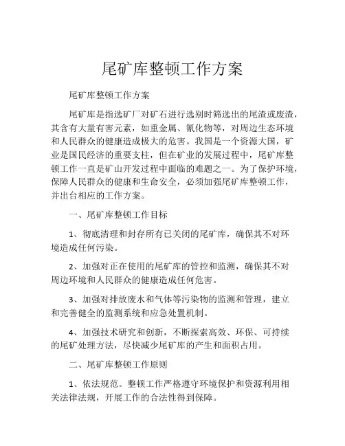 尾矿库整顿工作方案