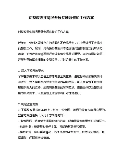 对整改落实情况开展专项监督的工作方案