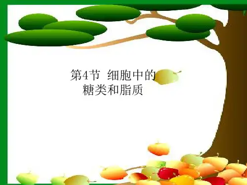 细胞中的糖类和脂质(陈)(32张)-PPT优秀课件