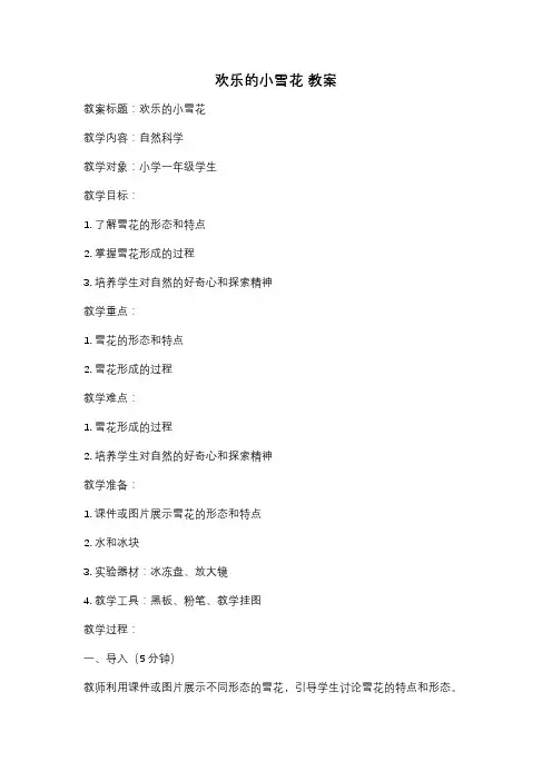欢乐的小雪花 教案
