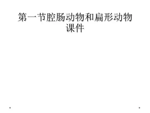 第一节腔肠动物和扁形动物课件
