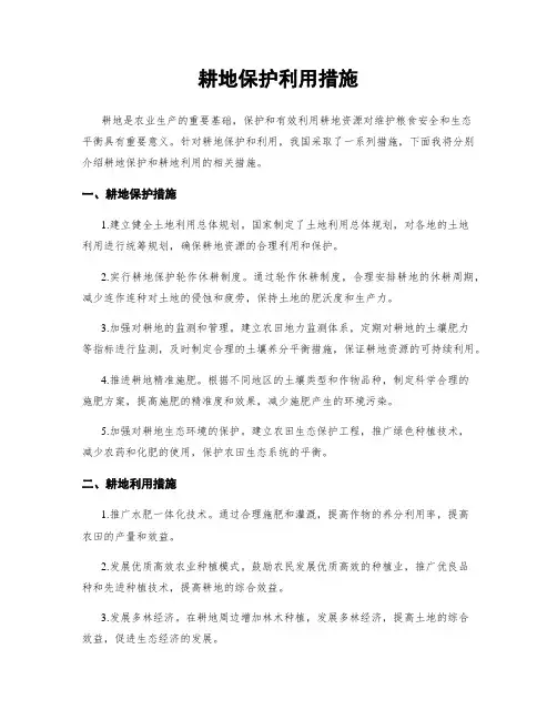 耕地保护利用措施