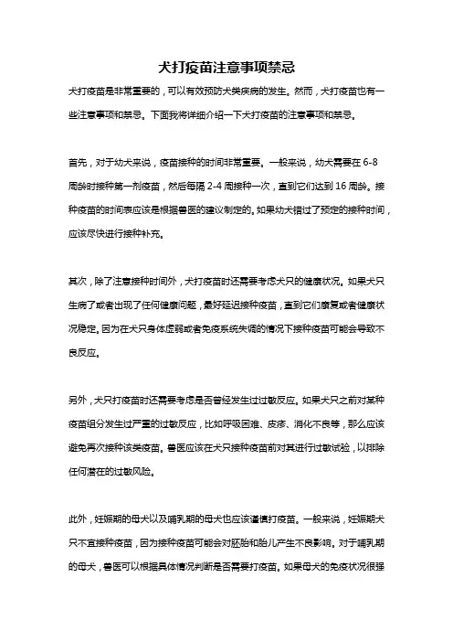 犬打疫苗注意事项禁忌