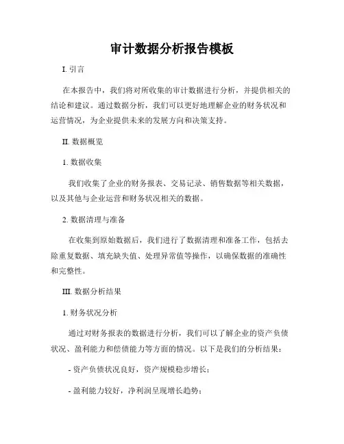 审计数据分析报告模板