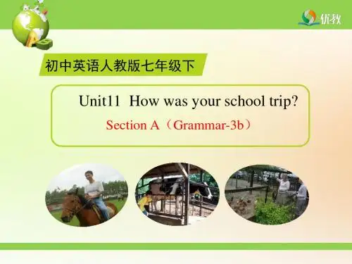 Unit11_SectionA(Grammar_Focus-3b)精品课件