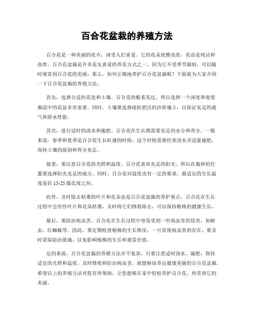 百合花盆栽的养殖方法