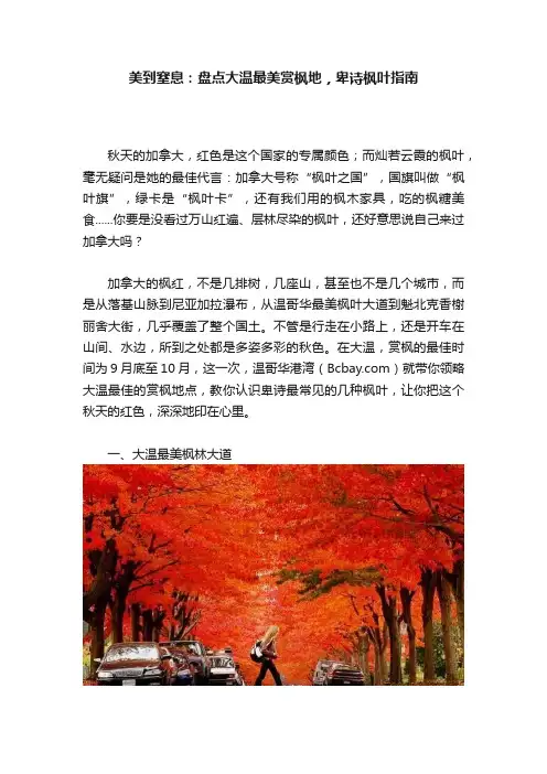美到窒息：盘点大温最美赏枫地，卑诗枫叶指南