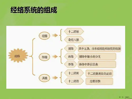 中医常用穴位的定位及主治