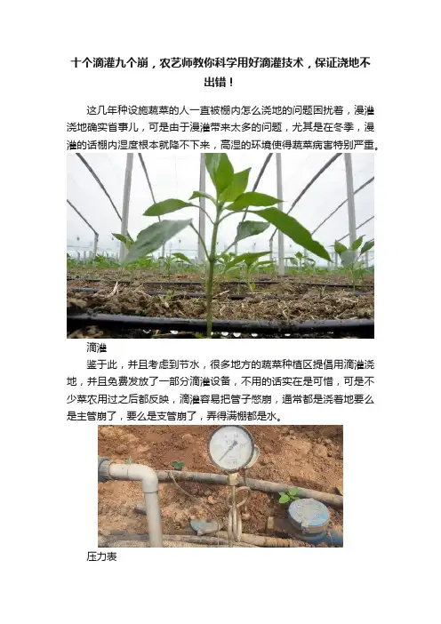 十个滴灌九个崩，农艺师教你科学用好滴灌技术，保证浇地不出错！