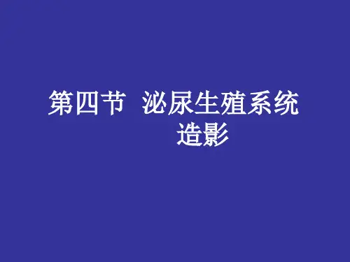 第四节泌尿生殖系统造影
