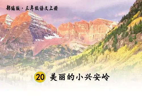 《美丽的小兴安岭》PPT(完美版)