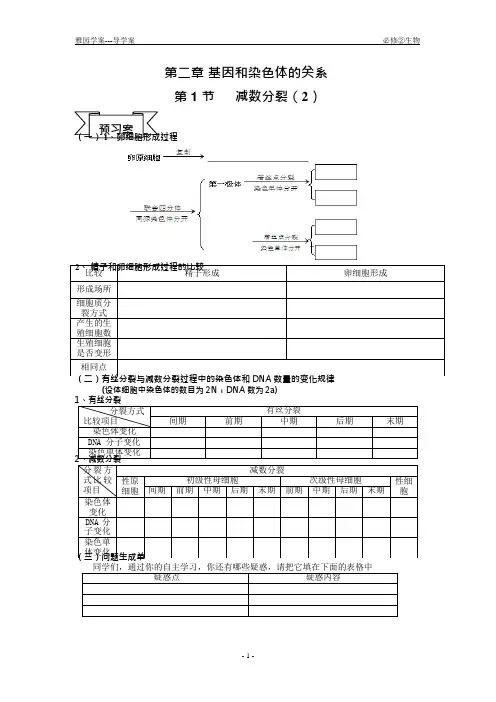 2.1减数分裂2导学案20140104(可编辑修改word版)
