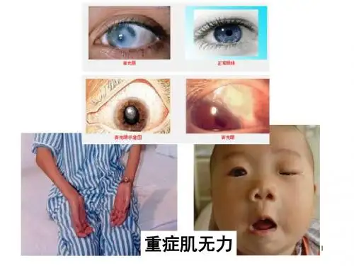 6-作用于胆碱受体的药物解析