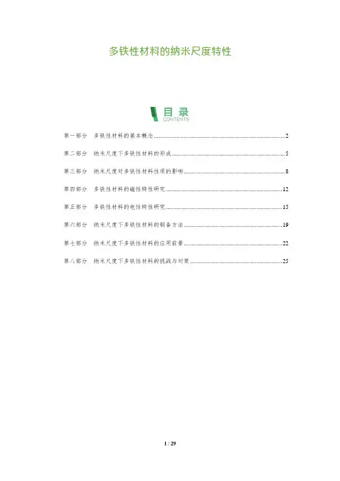 28_多铁性材料的纳米尺度特性